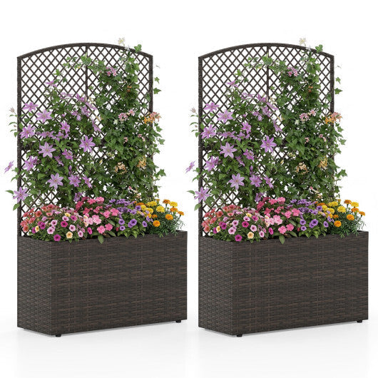 Set of 2 49 Inch Raised Garden Bed with Trellis and Wicker Planter Box-Black