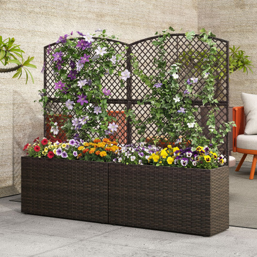 Set of 2 49 Inch Raised Garden Bed with Trellis and Wicker Planter Box-Black