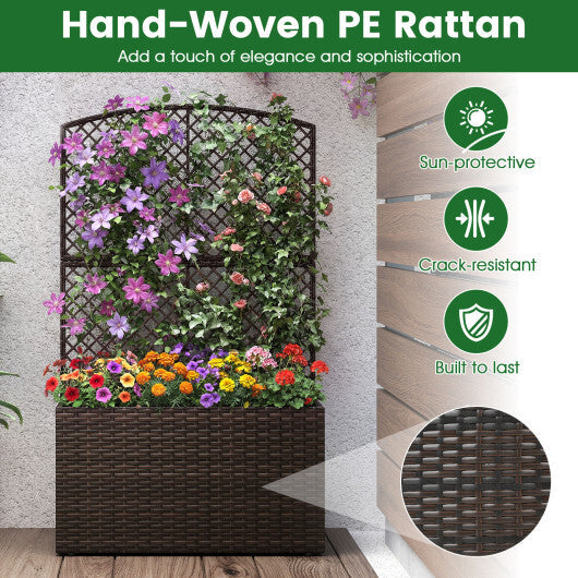 Set of 2 49 Inch Raised Garden Bed with Trellis and Wicker Planter Box-Black