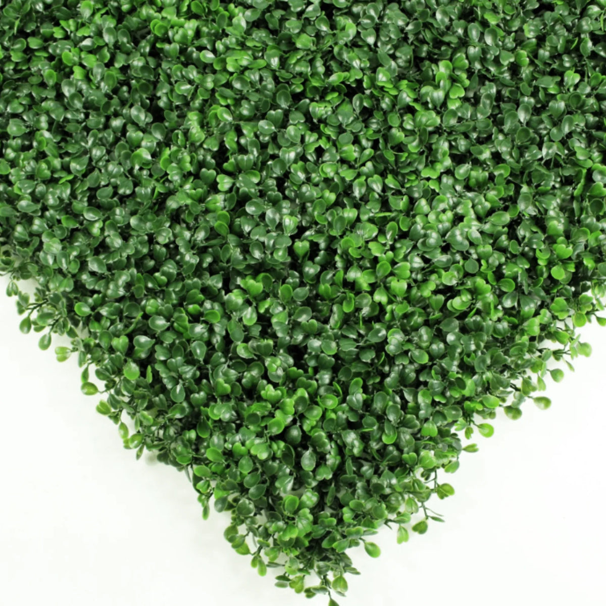 Sample Panel – Dark Boxwood Green Wall (Small Sample)