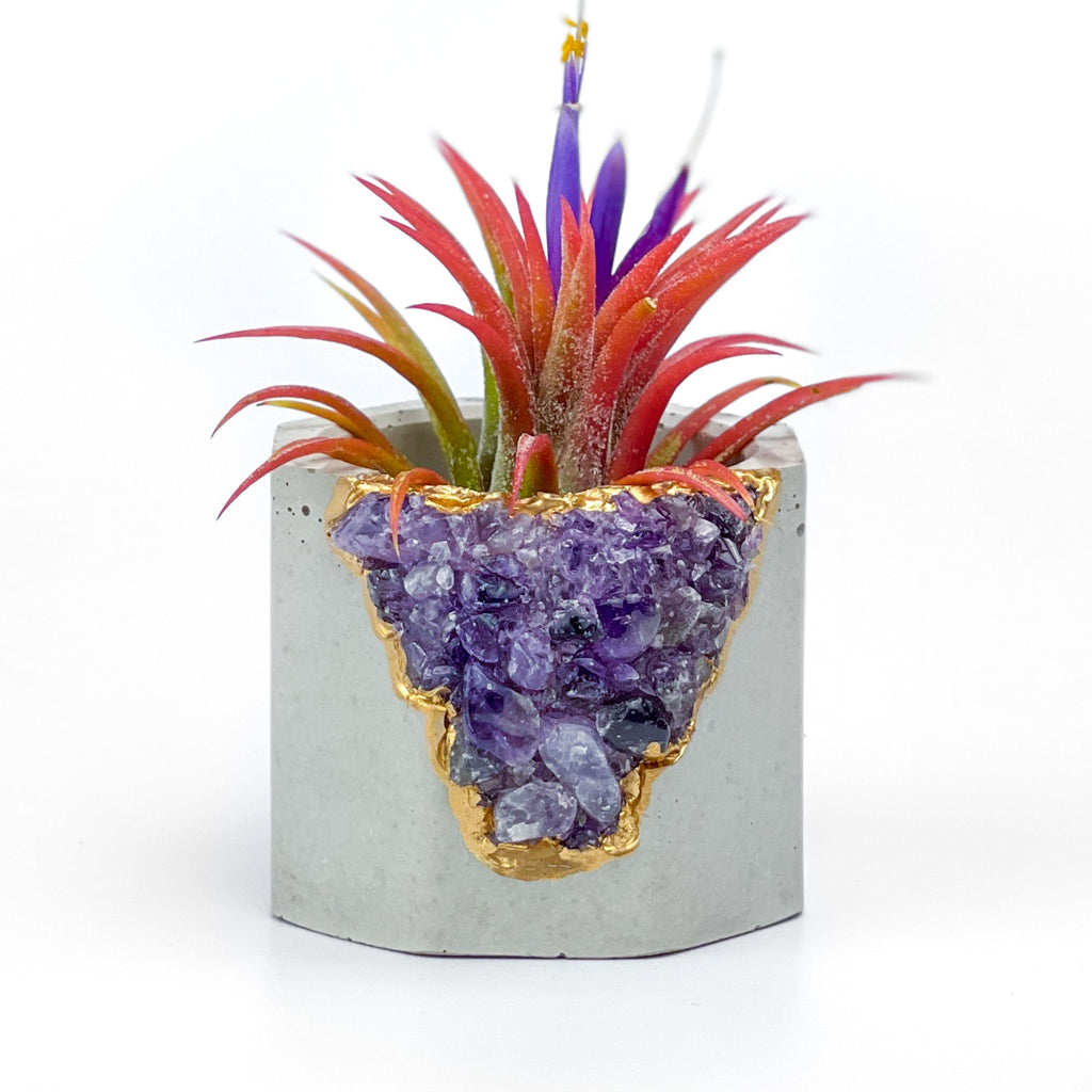 AMETHYST GEODE PLANTER