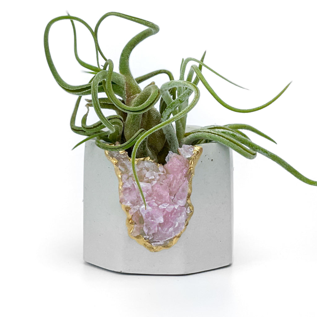 Raw ROSE QUARTZ GEODE PLANTER