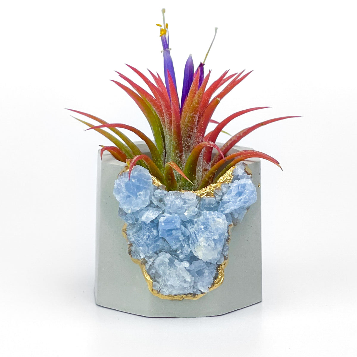 BLUE CALCITE GEODE PLANTER