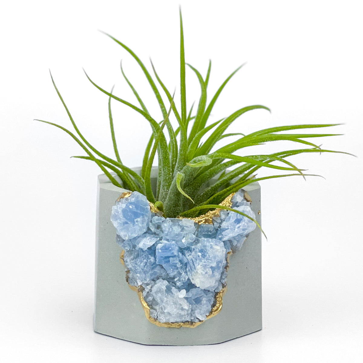 BLUE CALCITE GEODE PLANTER