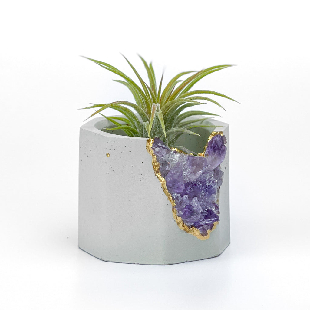 Brazil AMETHYST GEODE PLANTER