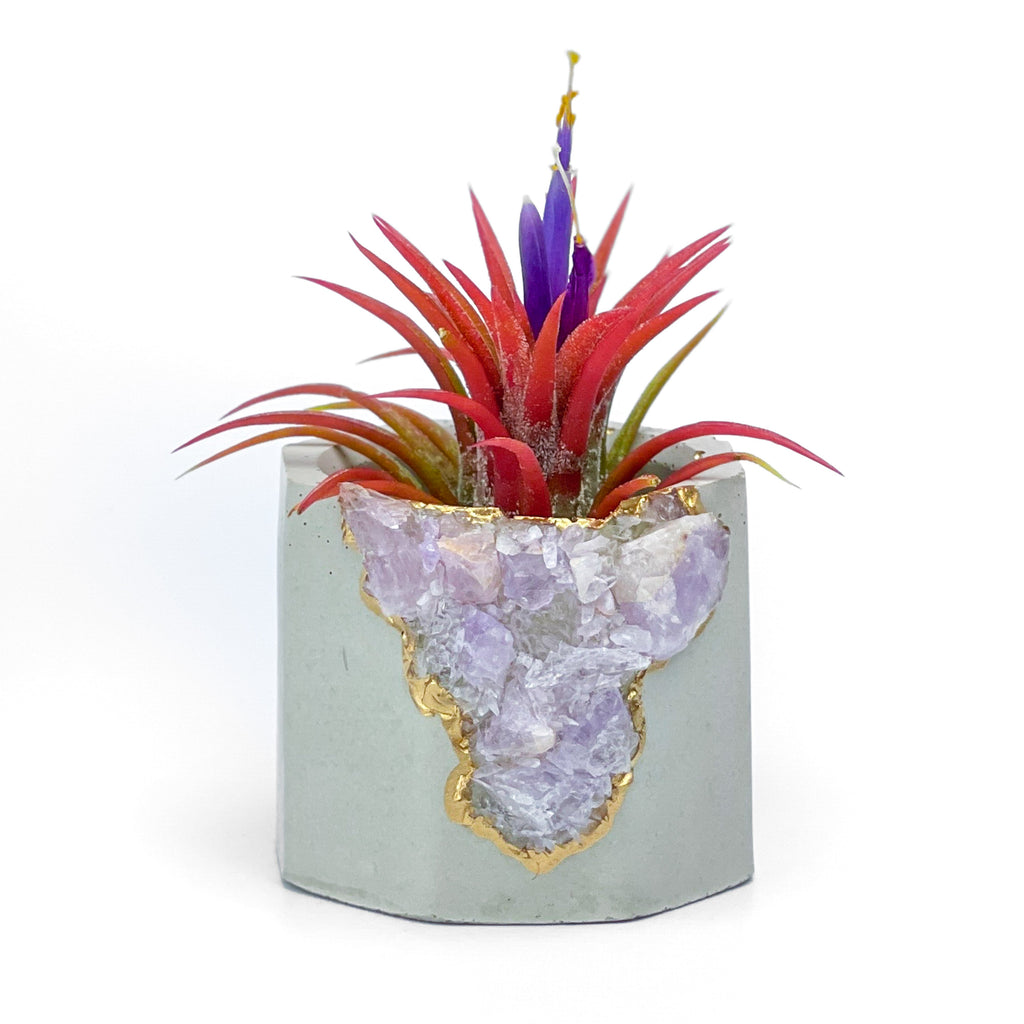 Madagascar AMETHYST GEODE PLANTER