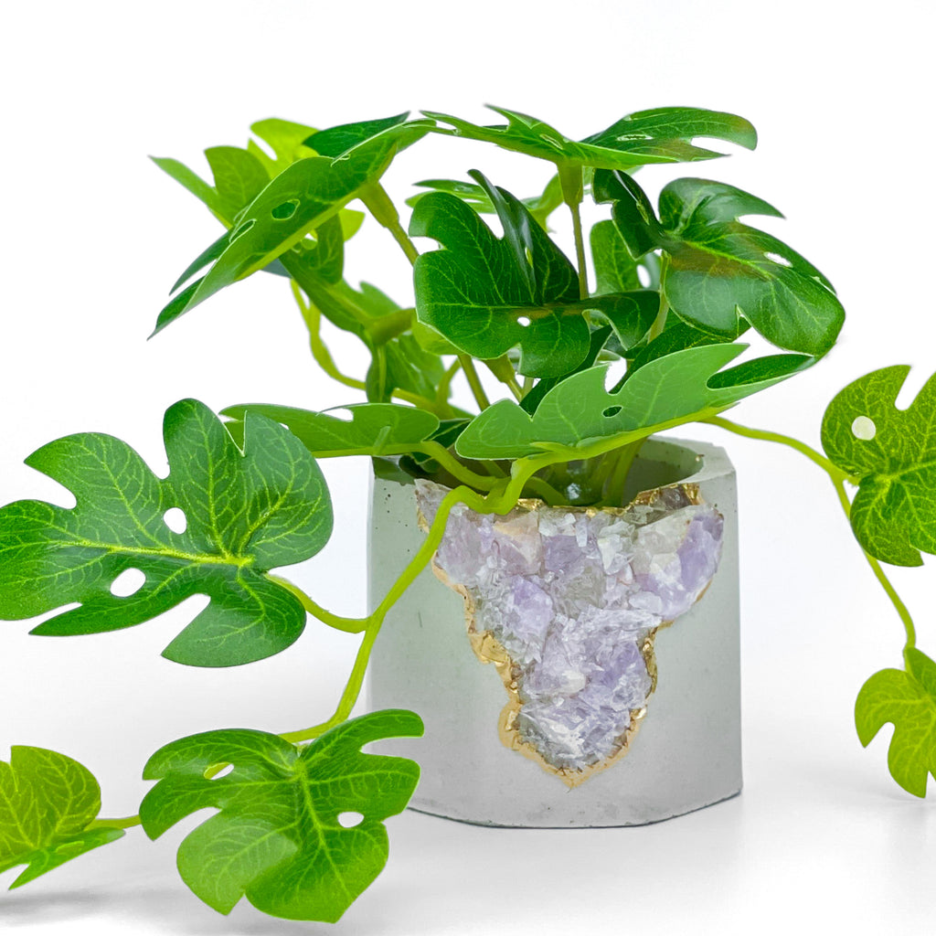 Madagascar AMETHYST GEODE PLANTER