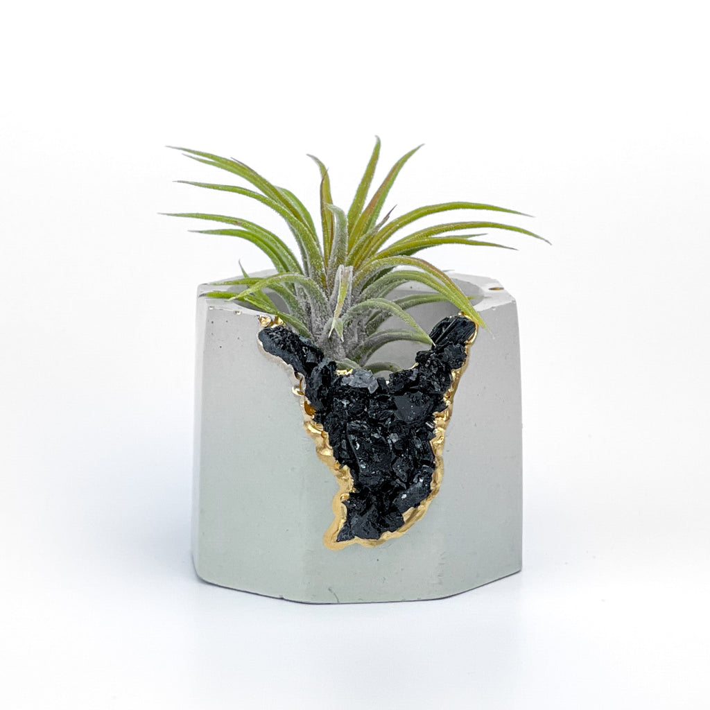 BLACK TOURMALINE GEODE PLANTER