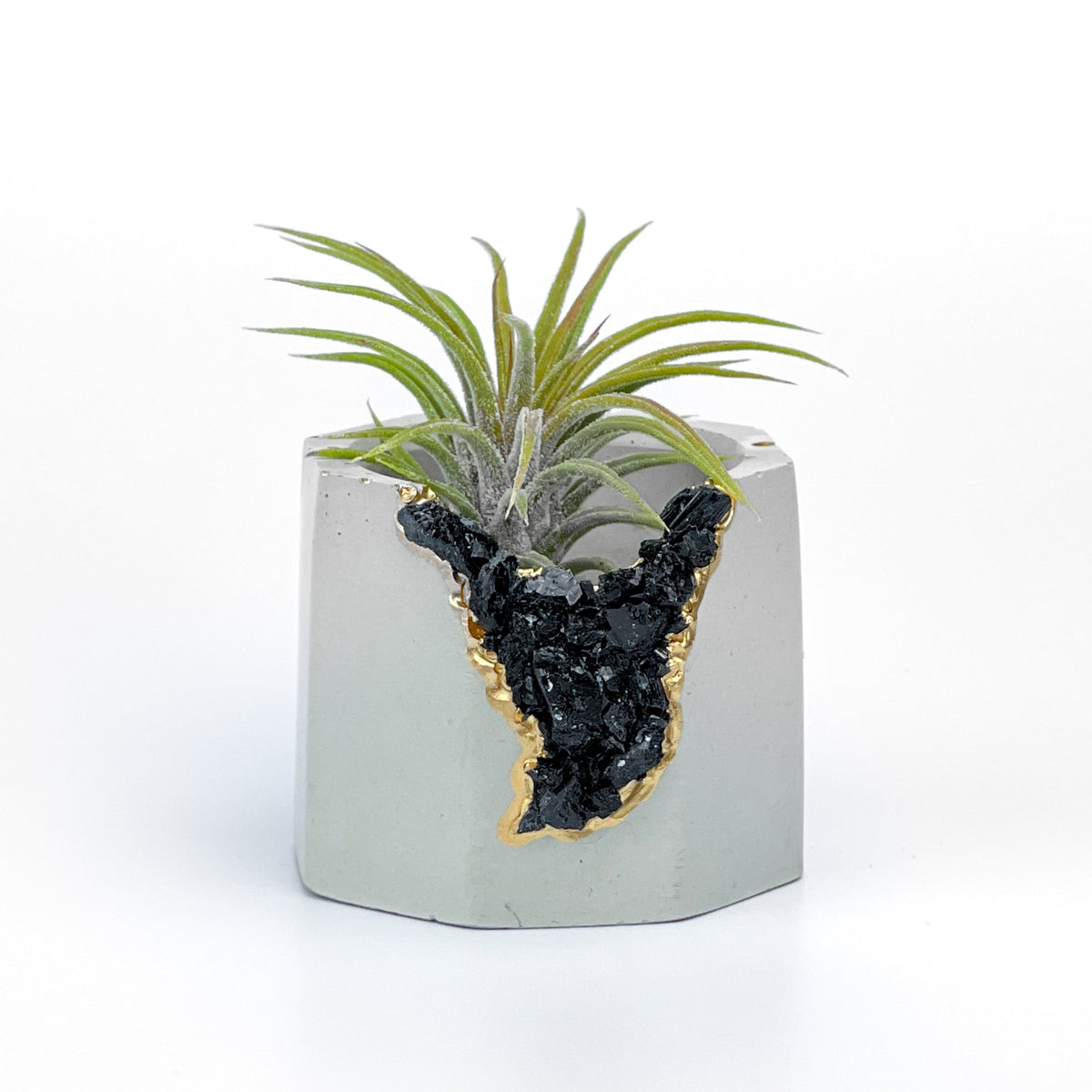 BLACK TOURMALINE GEODE PLANTER