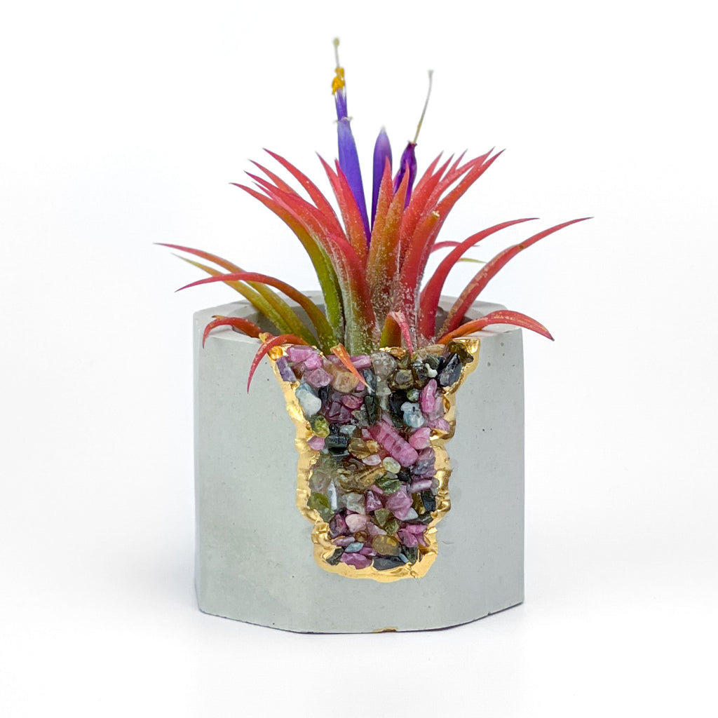 TOURMALINE GEODE PLANTER