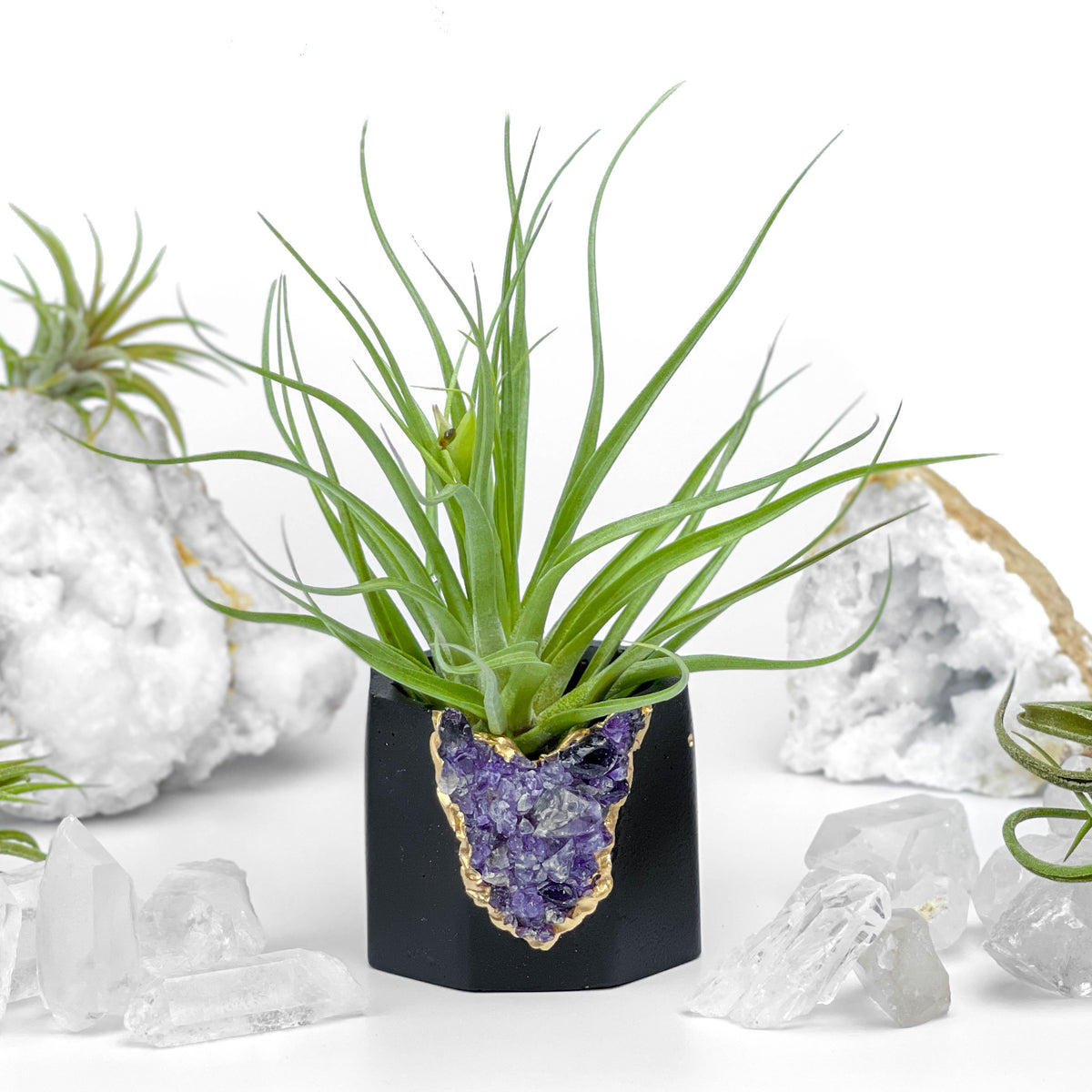 Black AMETHYST GEODE PLANTER