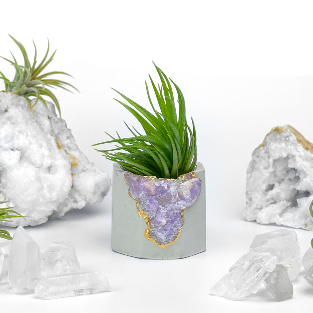 Madagascar AMETHYST GEODE PLANTER