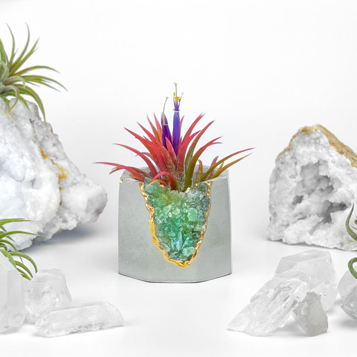 GREEN APATITE GEODE PLANTER