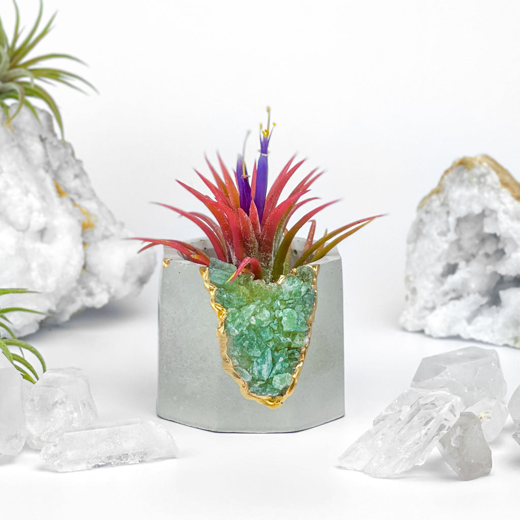 GREEN APATITE GEODE PLANTER