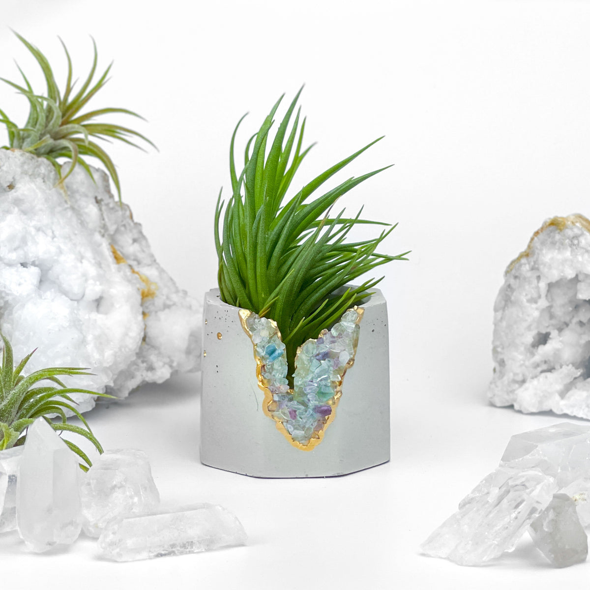 FLUORITE GEODE PLANTER