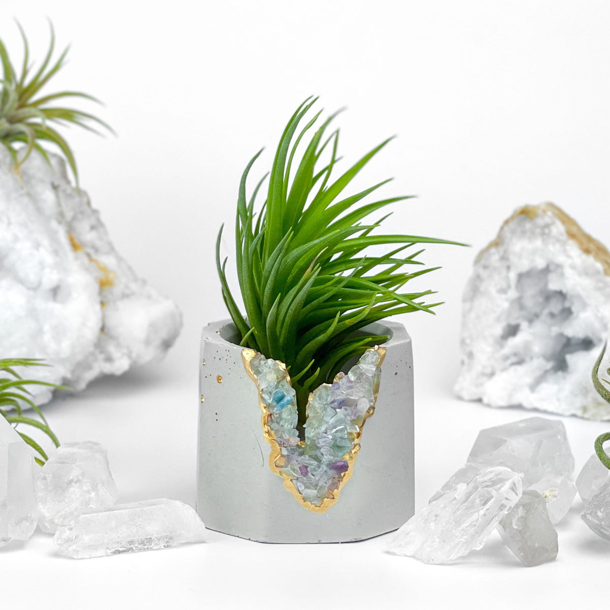 FLUORITE GEODE PLANTER