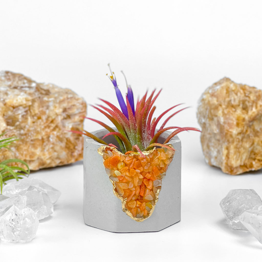 RED AVENTURINE GEODE PLANTER