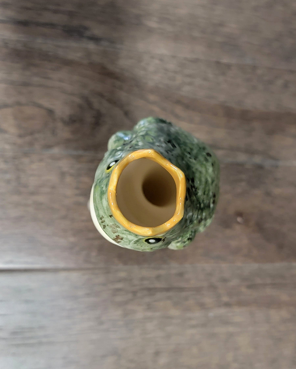 Prince Frog Watering Spike