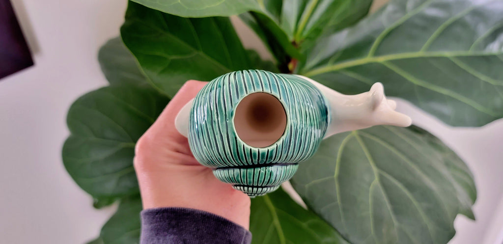 Snail Watering Spike