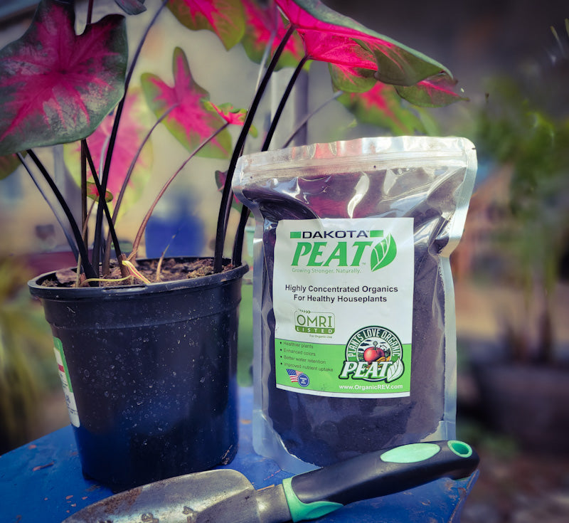 Dakota Soil & Plant Enhancer 1lb Bag