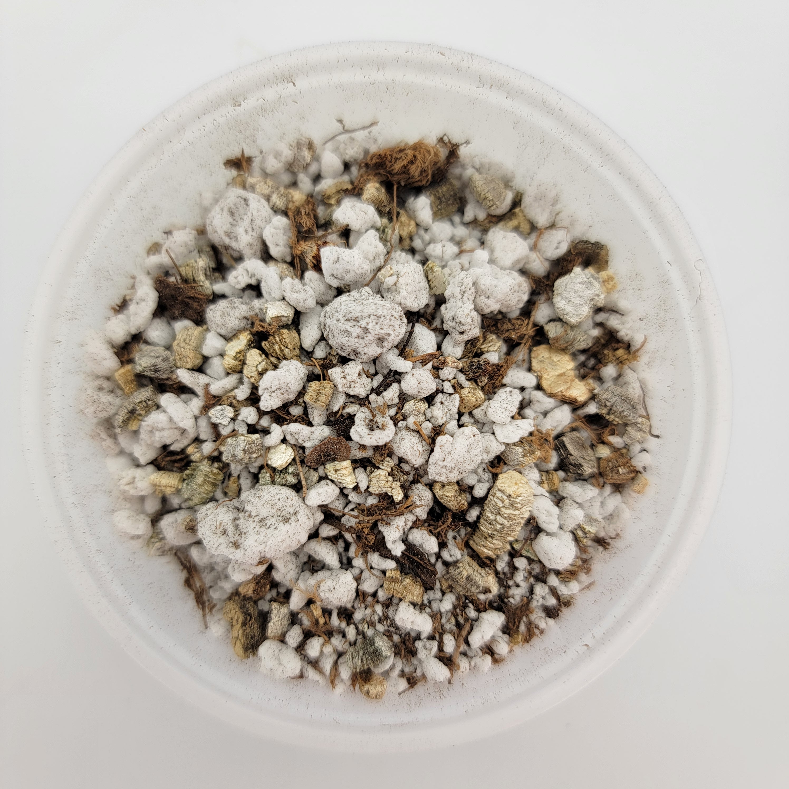 Mexican Pinguicula soil mix