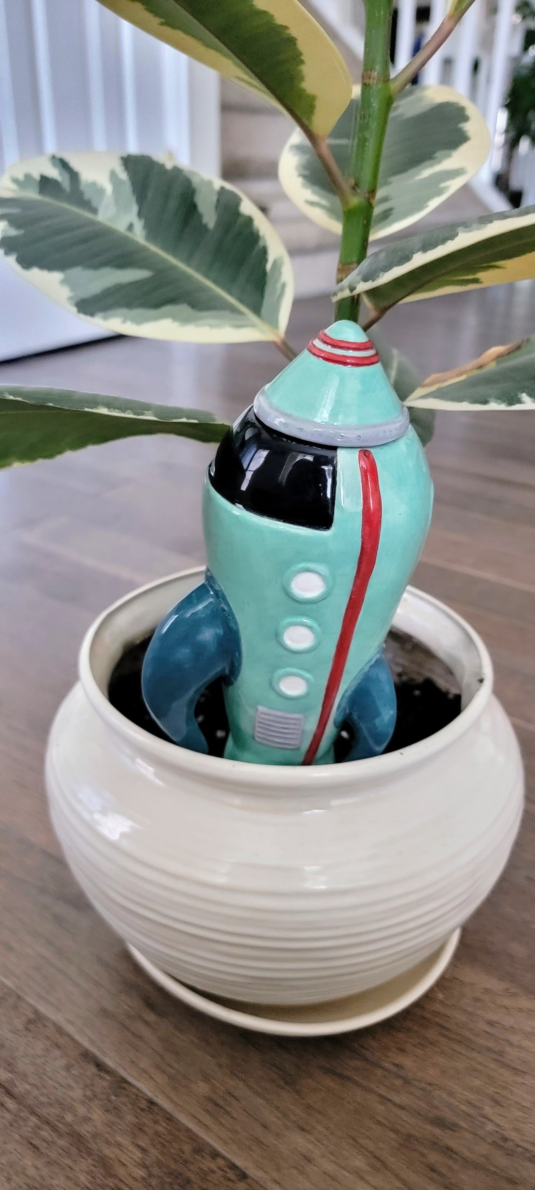 Rocketship Watering Spike
