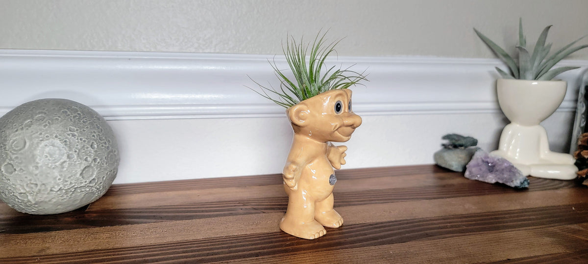 Treasure Troll Air Plant Holder