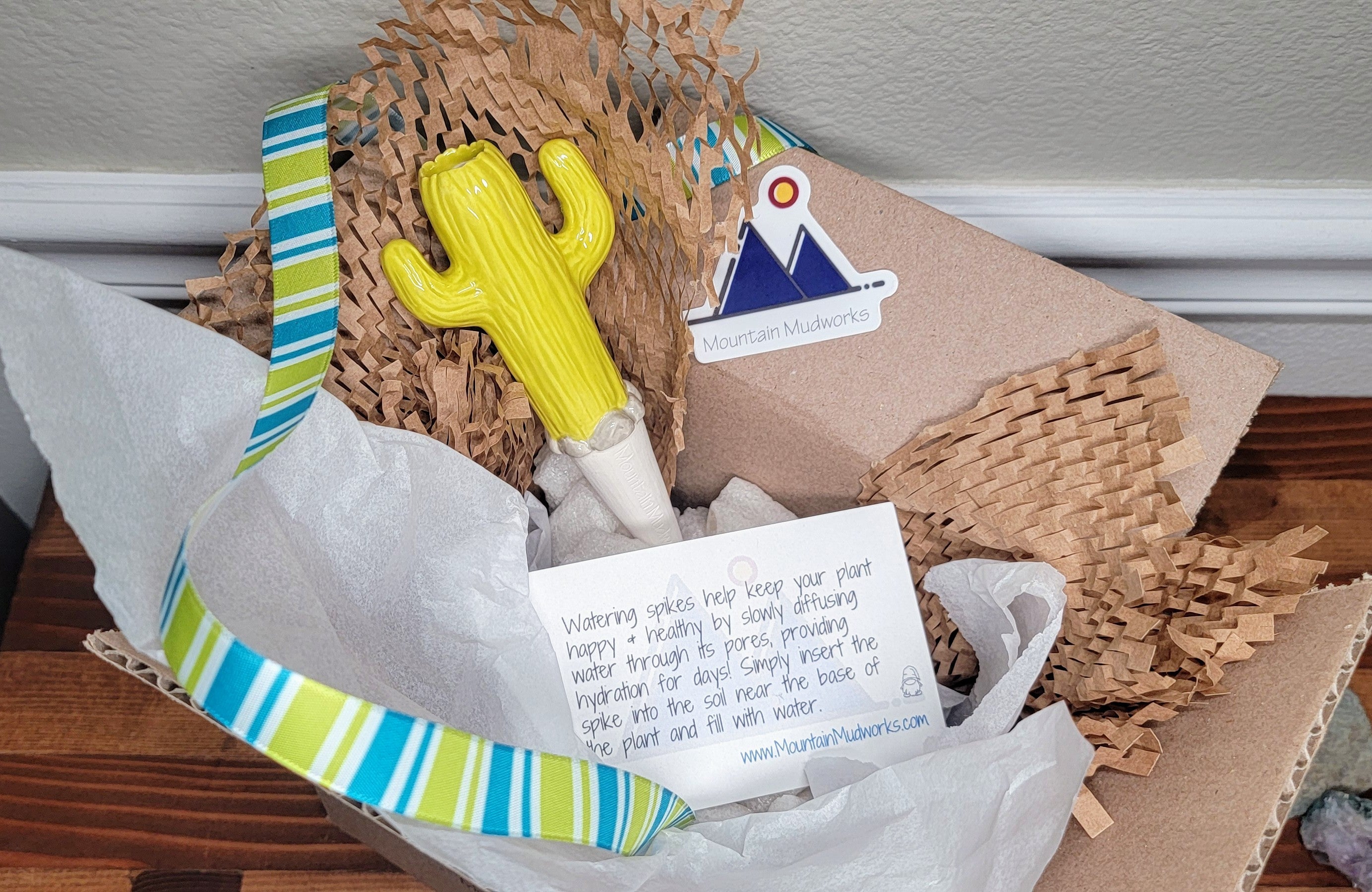 Cactus Watering Spike