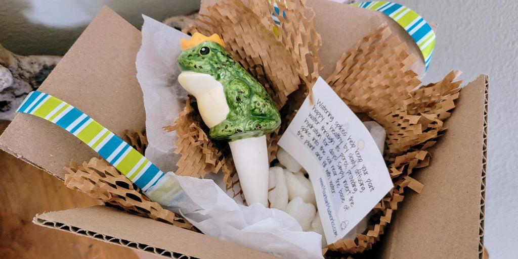 Prince Frog Watering Spike