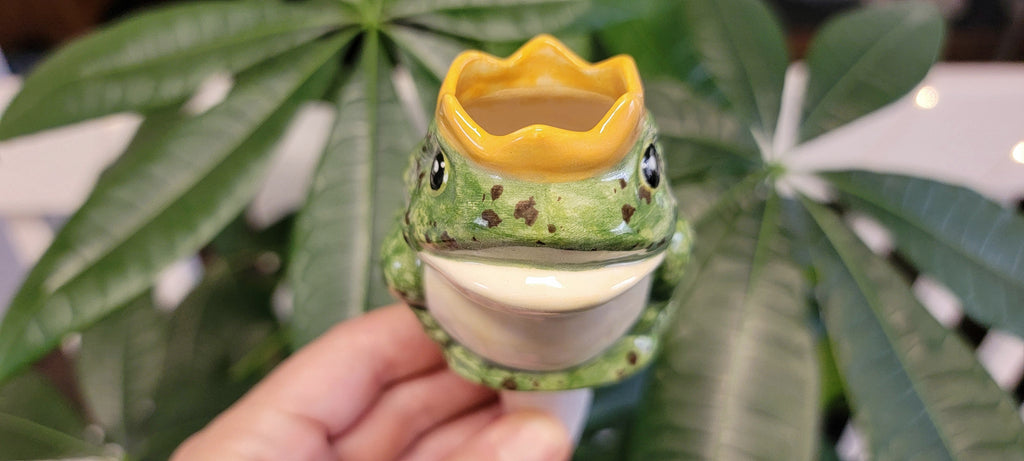 Prince Frog Watering Spike