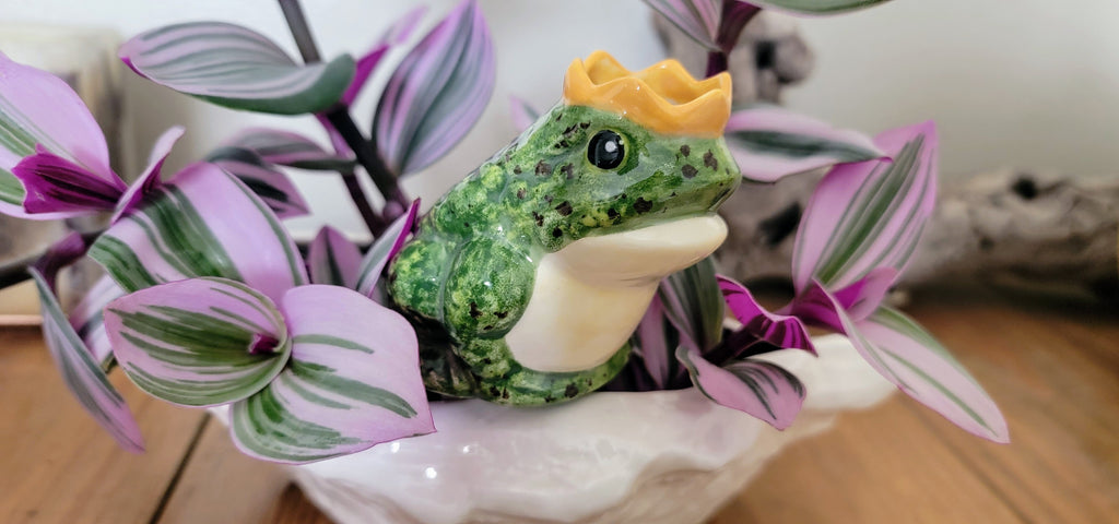 Prince Frog Watering Spike