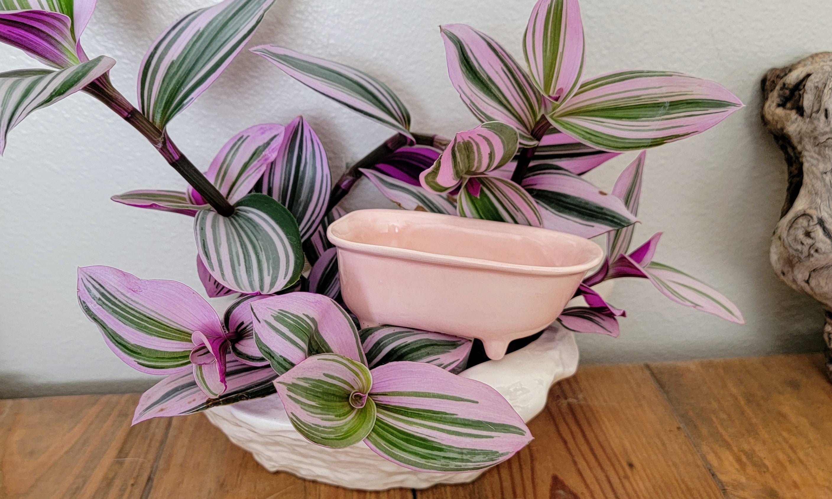 Bathtub Watering Spike