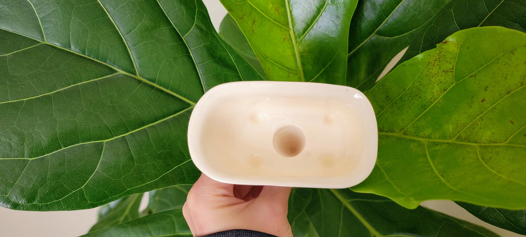 Bathtub Watering Spike