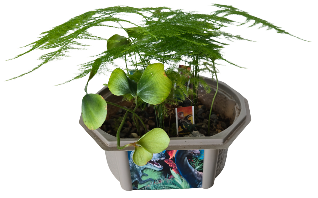Dinosaur Domain Biosphere Terrarium