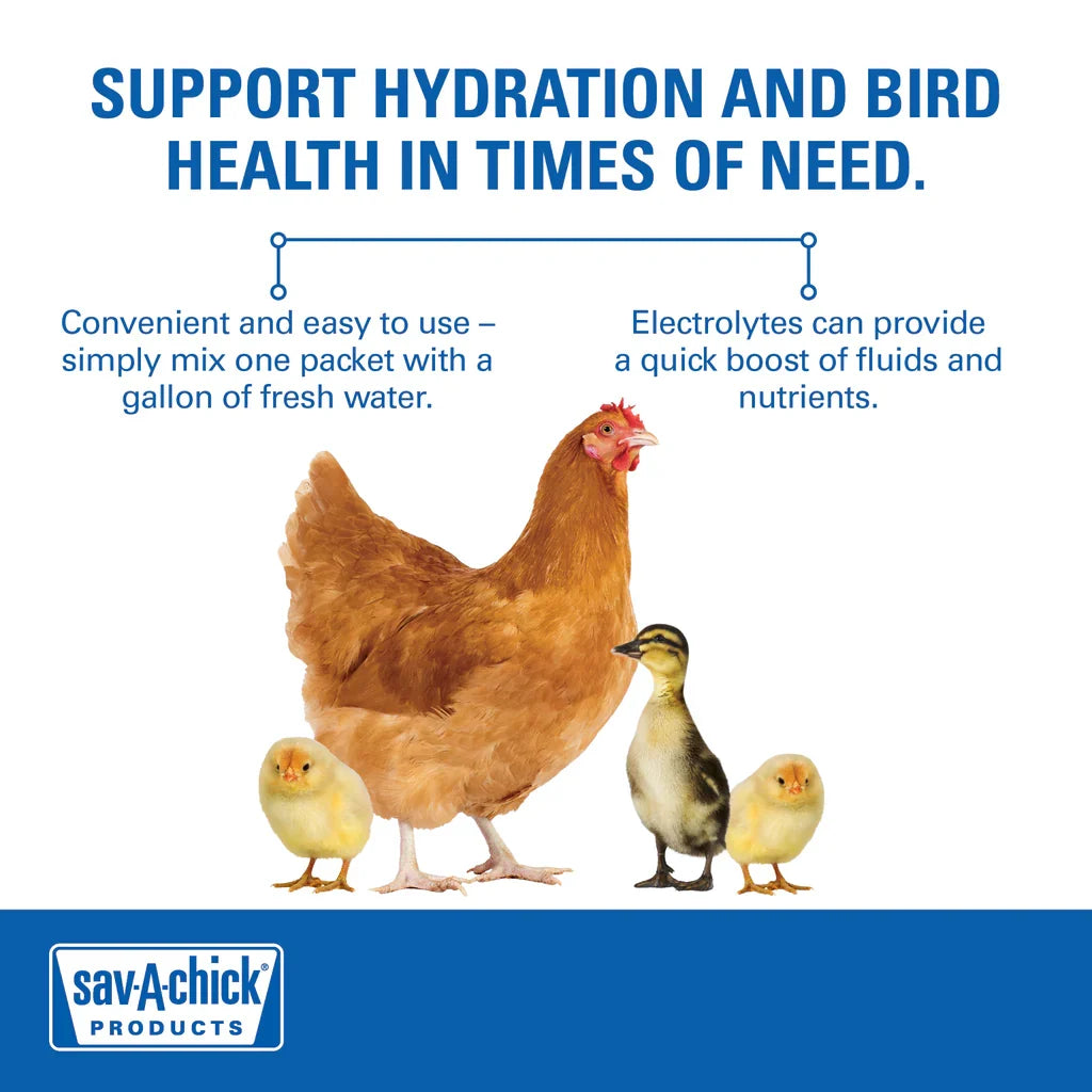 Chicken Sav-a-chick 18pk Bundle Electrolyte Vitamin & Probiotic Poultry Health Packets