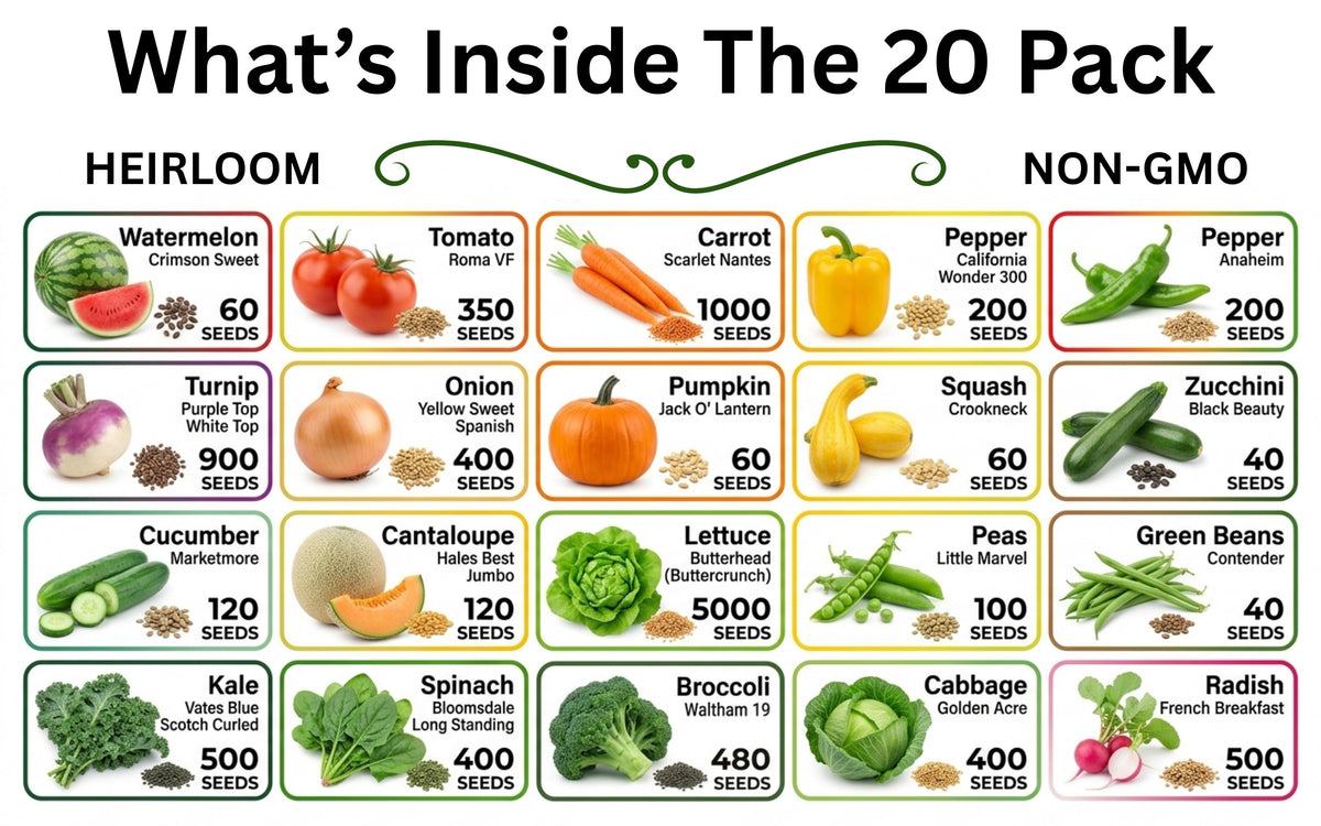 20 Vegetable Seed Packets- Survival Seed Vault, 10,000+ Seeds