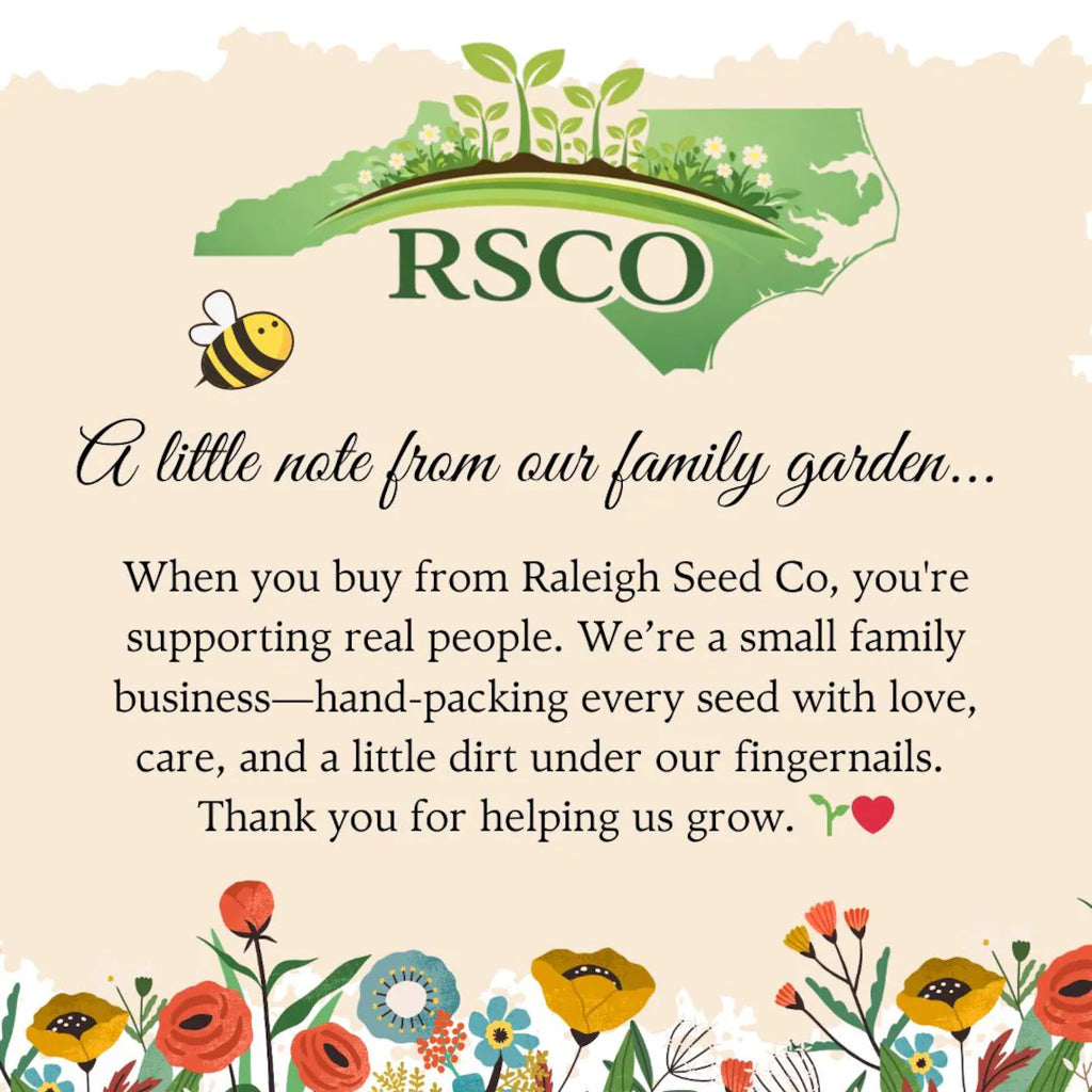 Baby Shower Favors 25 Pack, Baby in Bloom Seed Packets, Wildflower Seed Favors