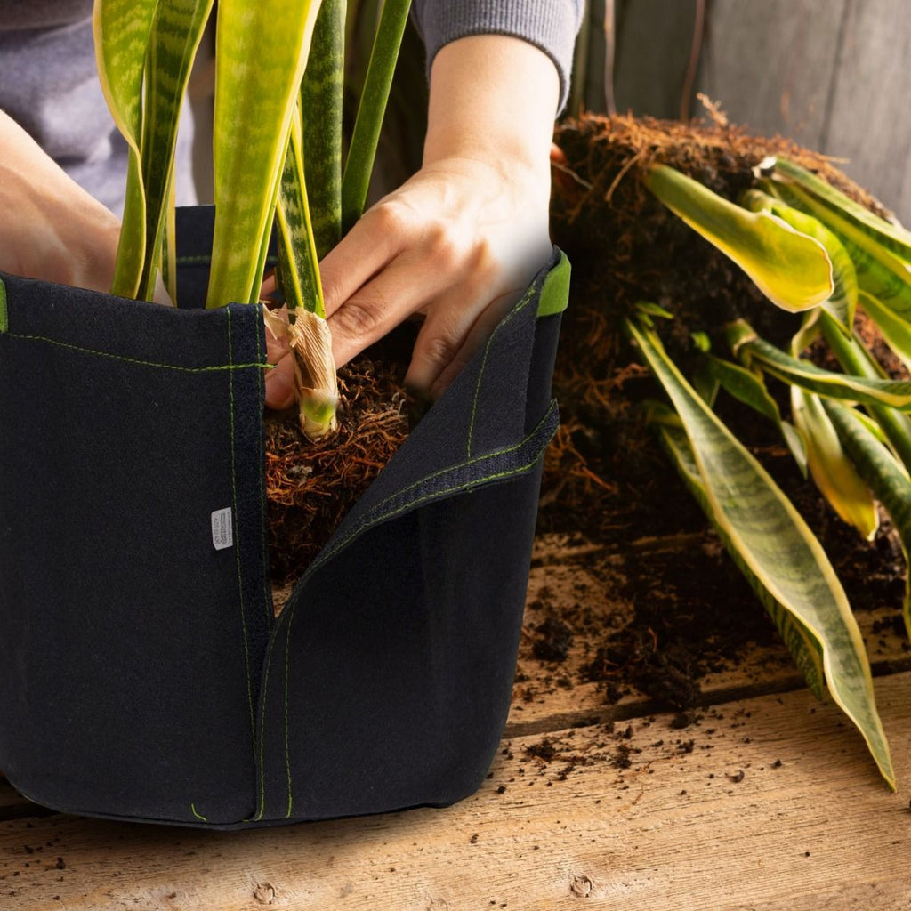 5 Pack 5-Gallon Transplanter Fabric Pot Closure & Short Green Handles