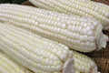 Organic White Sticky Waxy Sweet Corn Seeds | NON-GMO Heirloom | Heirloom Variety, Garden Seed