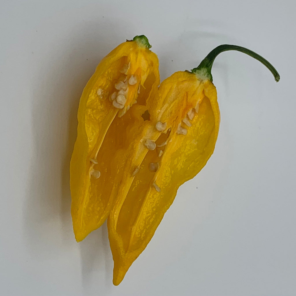 Fatalii - Seeds