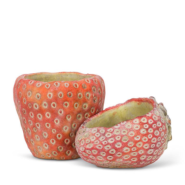 Laying Strawberry Cement Planter