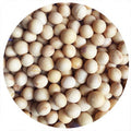 Non-GMO Soybeans