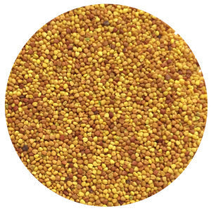Dutch White Clover Raw
