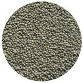 Ladino White Clover C& I