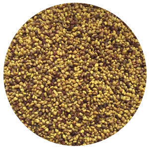 Medium Red Clover Raw