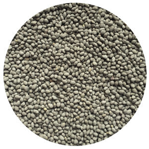 Medium Red Clover C&I