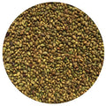 Yellow Blossom Sweet Clover Raw