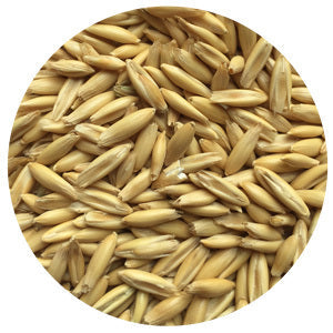 Oats, Spring