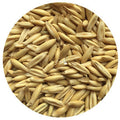 Oats, Spring