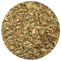 Potomac Orchardgrass